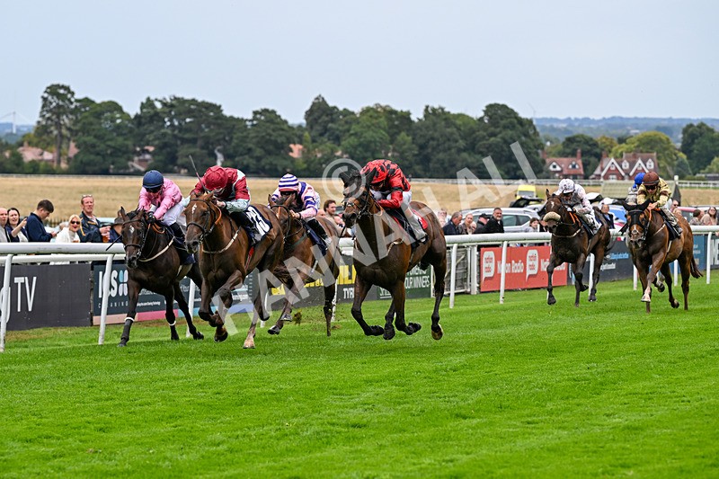 290826-Race 5-Supreme Clarets-7377 - Race 5 4.10pm Churchill Tyres Handicap