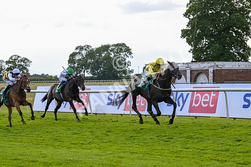 160624-Race 4-Align The Stars-8815 - Race 4