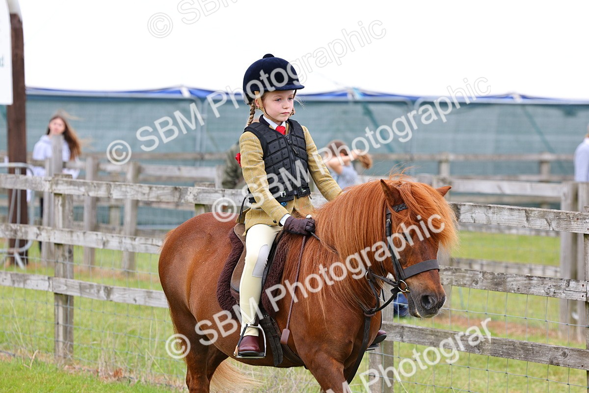 SBM_08435 - Class 42-43 - LIHS BSPS Heritage Working Sports Pony