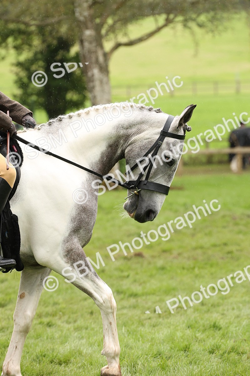 SBM_69878 - S68 - Other Coloured Horse Ridden