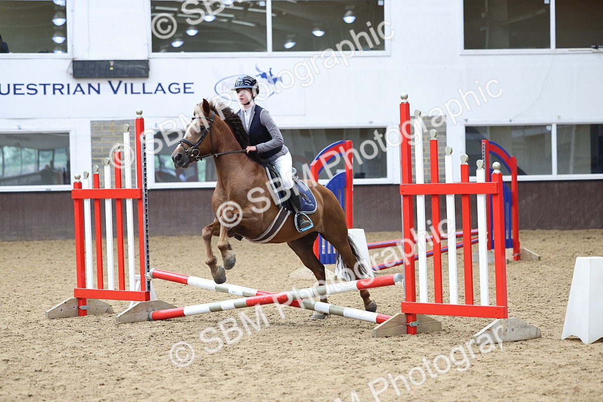SBM_007439 - Class 2 - 50cm showjumping