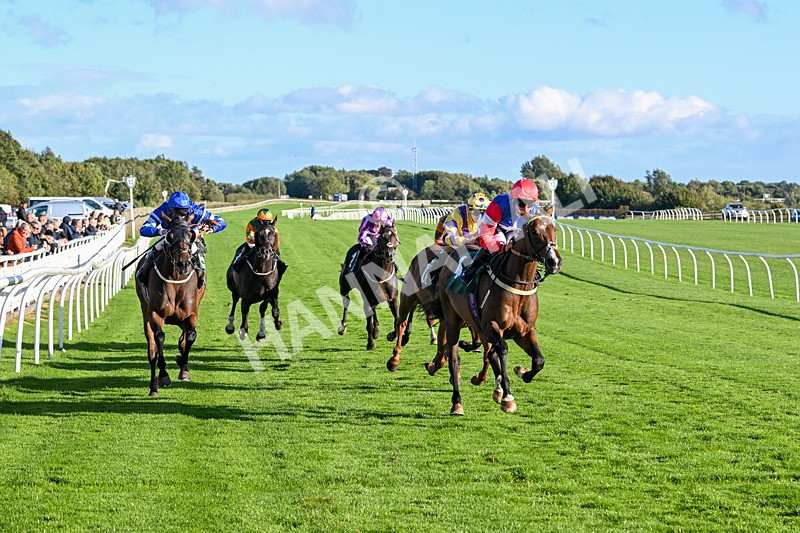 100924-Race 7-Desert Dream-0707 - Race 7