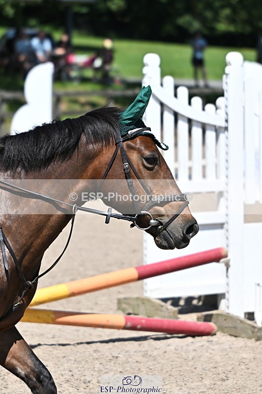 240729B-122510-02657 - Showjumping Competition