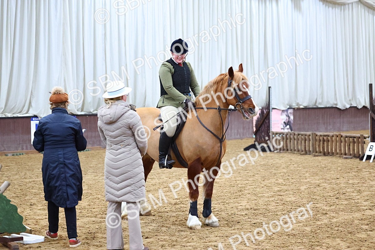 SBM_003084 - Class 35 - 60cm Training Stakes