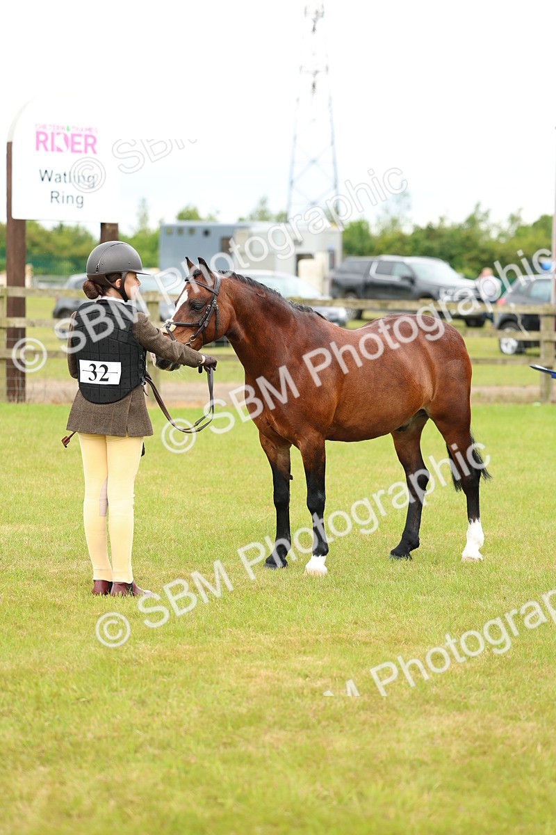 SBM_10327 - Class 44-45 - LIHS BSPS Open Nursery and Cradle Stakes