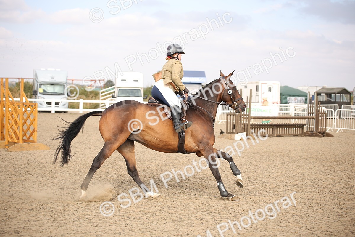 SBM_17298 - Class 410a - Wor5king Veteran 90cm (15-19)