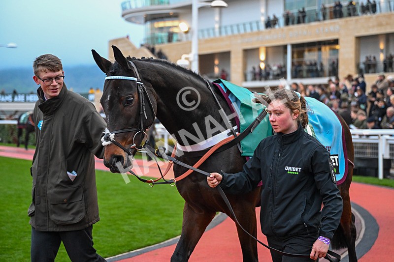 151125-Race 7-Eremenko-4200 - Race 7