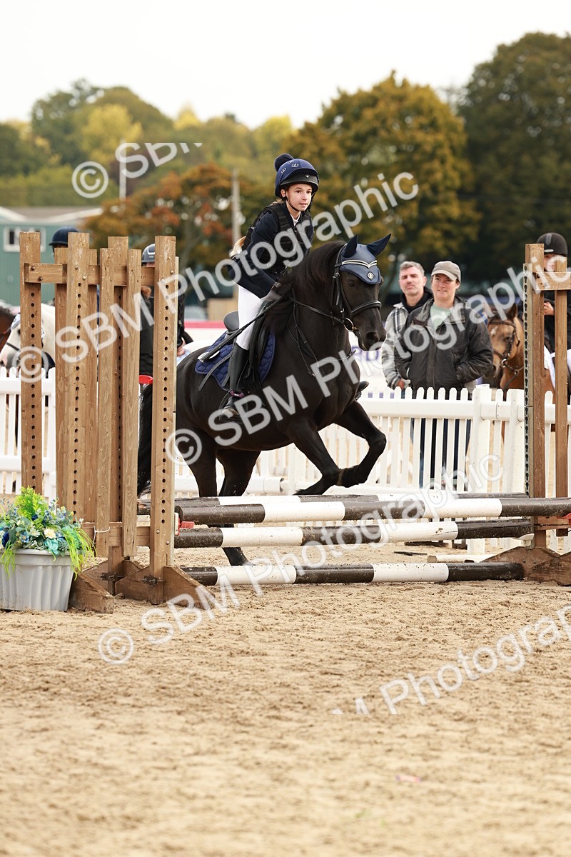 SBM_57710 - J11 - Junior Pony 50cm Championship