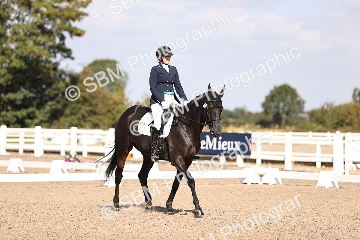 SBM_03490 - CLass 35 Intro 3