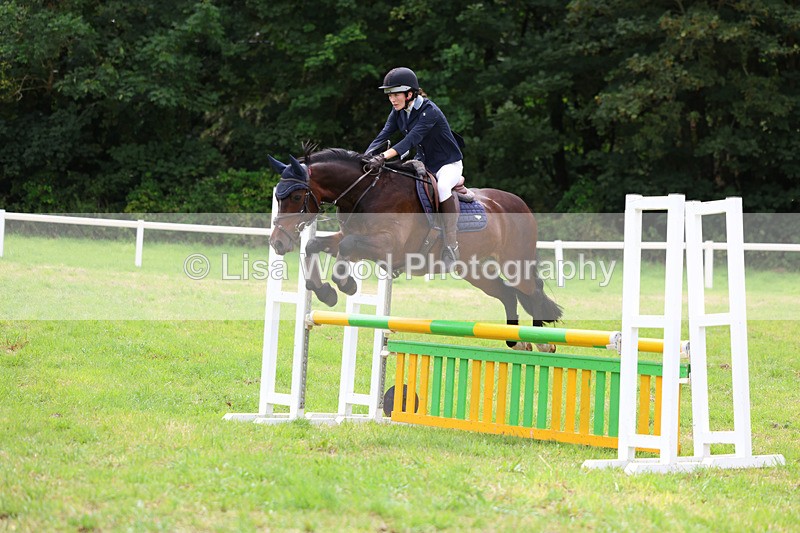 3E7A7151 - Class 5: Senior British Novice/90cm open