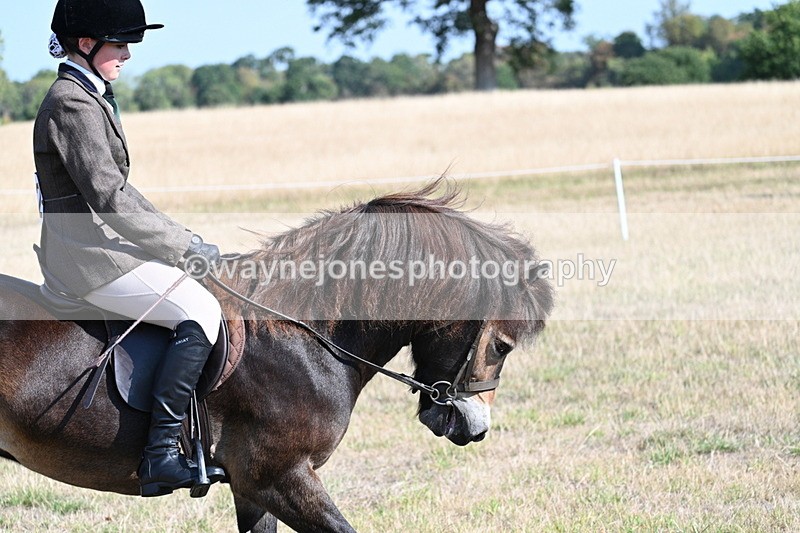 WJ7_2941 - Class 8 Ridden Tack & Turnout