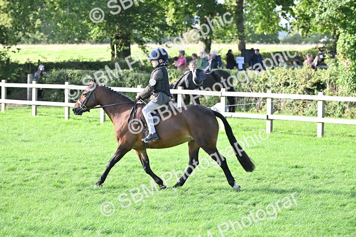 SBM_51220 - S22 - First Ridden show and show Hunter Pony