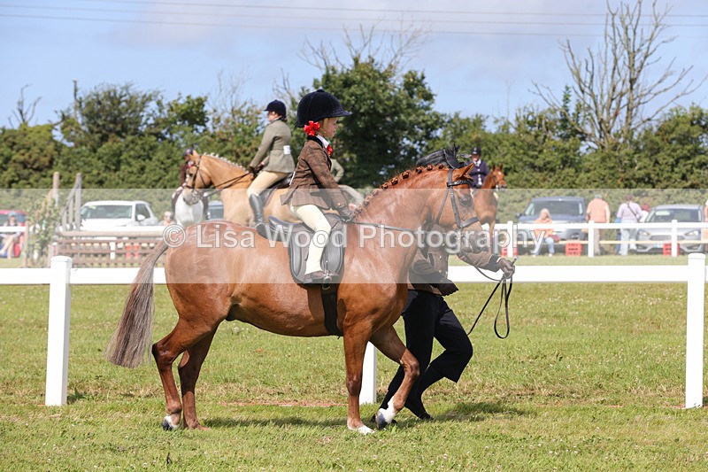 1X9A3836 - Plaited Mini Ridden Championship