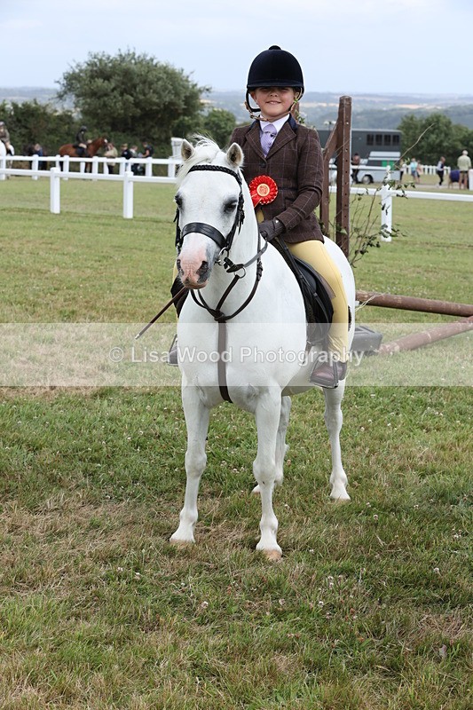JPP_1977 - Class 18: Tiny Tots Working Hunter Pony