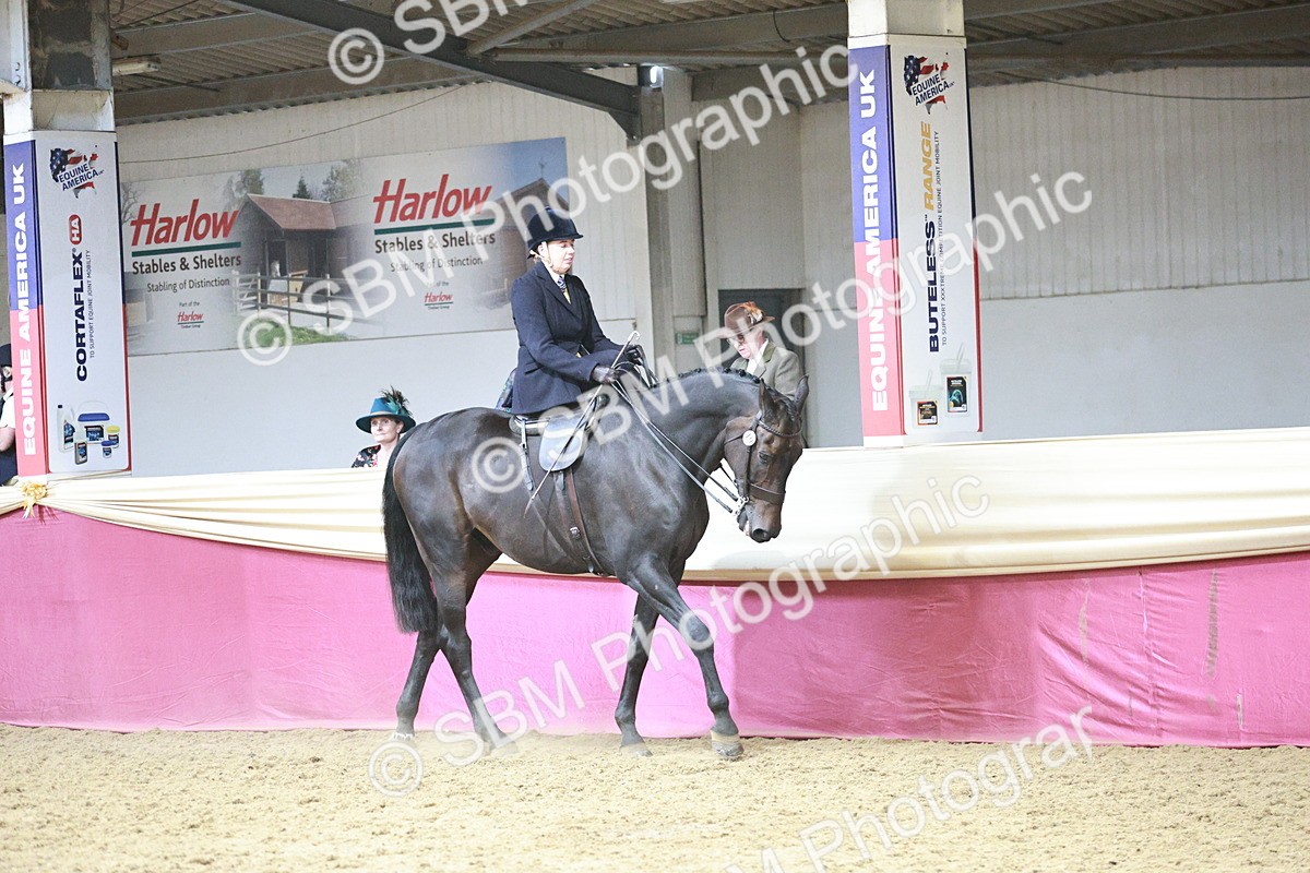 SBM_08738 - Class 12R - Regional Ridden Pre-Vet