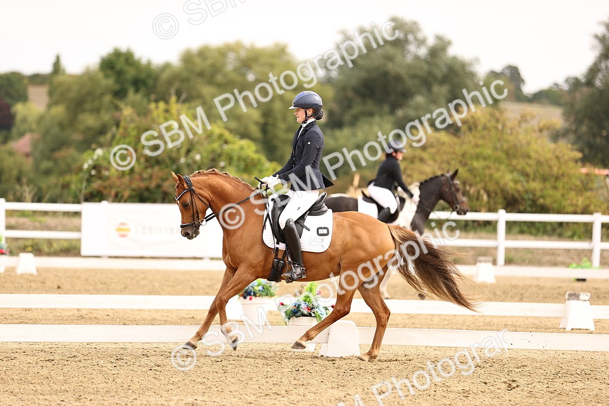 SBM_011694 - Class 1 - Medium 5