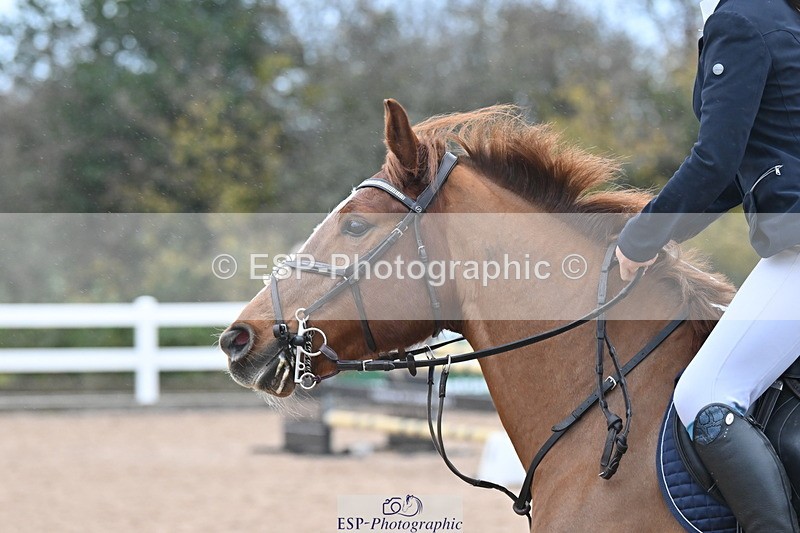 231119A-100708-04822 - Sun Cls 3 BlueChip Pony Discovery Qualifier