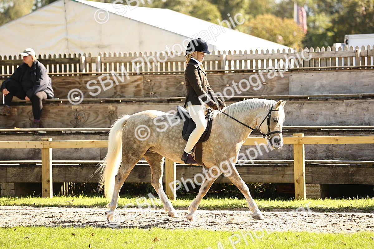 SBM_19071 - S3 - TSR Ridden Pony Showing