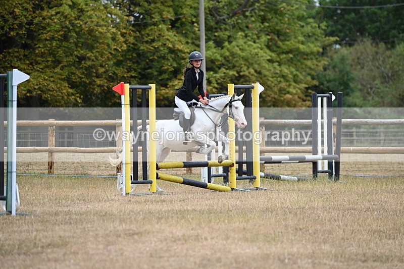 WJ6_0273 - Class 13 Novice Jumping 60cm