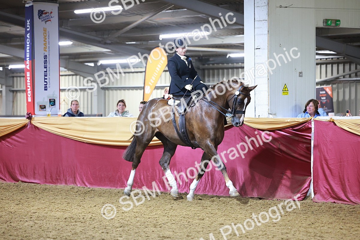 SBM_15020 - Class N - Side Saddle Champ