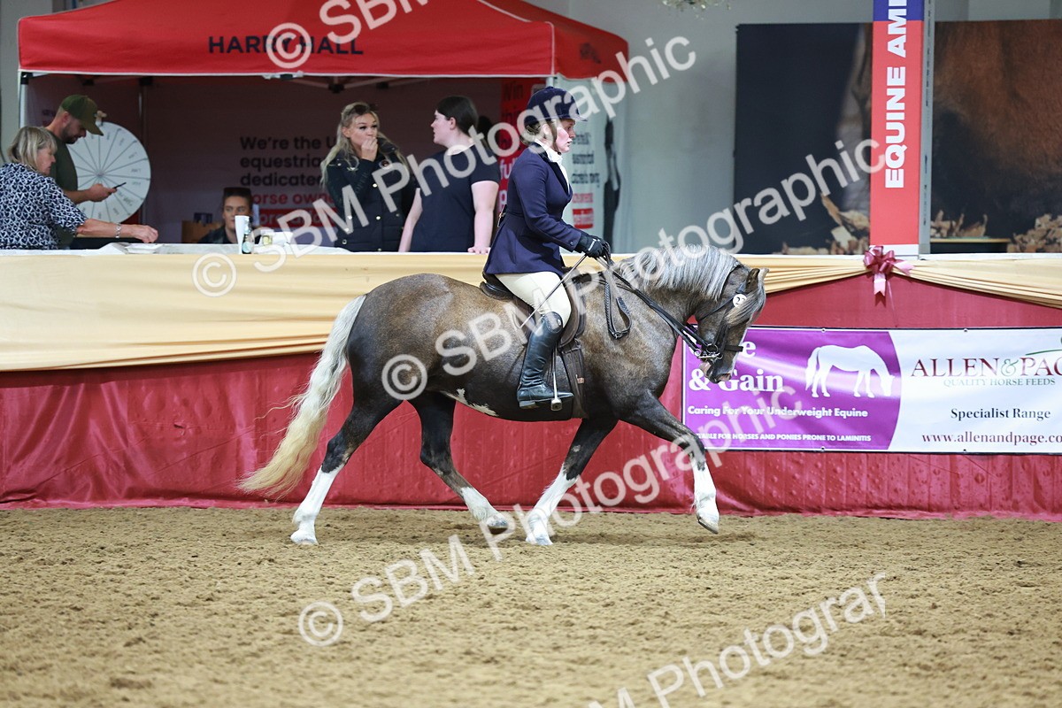 SBM_18635 - Class 952 - M&M Ridden Supreme Final