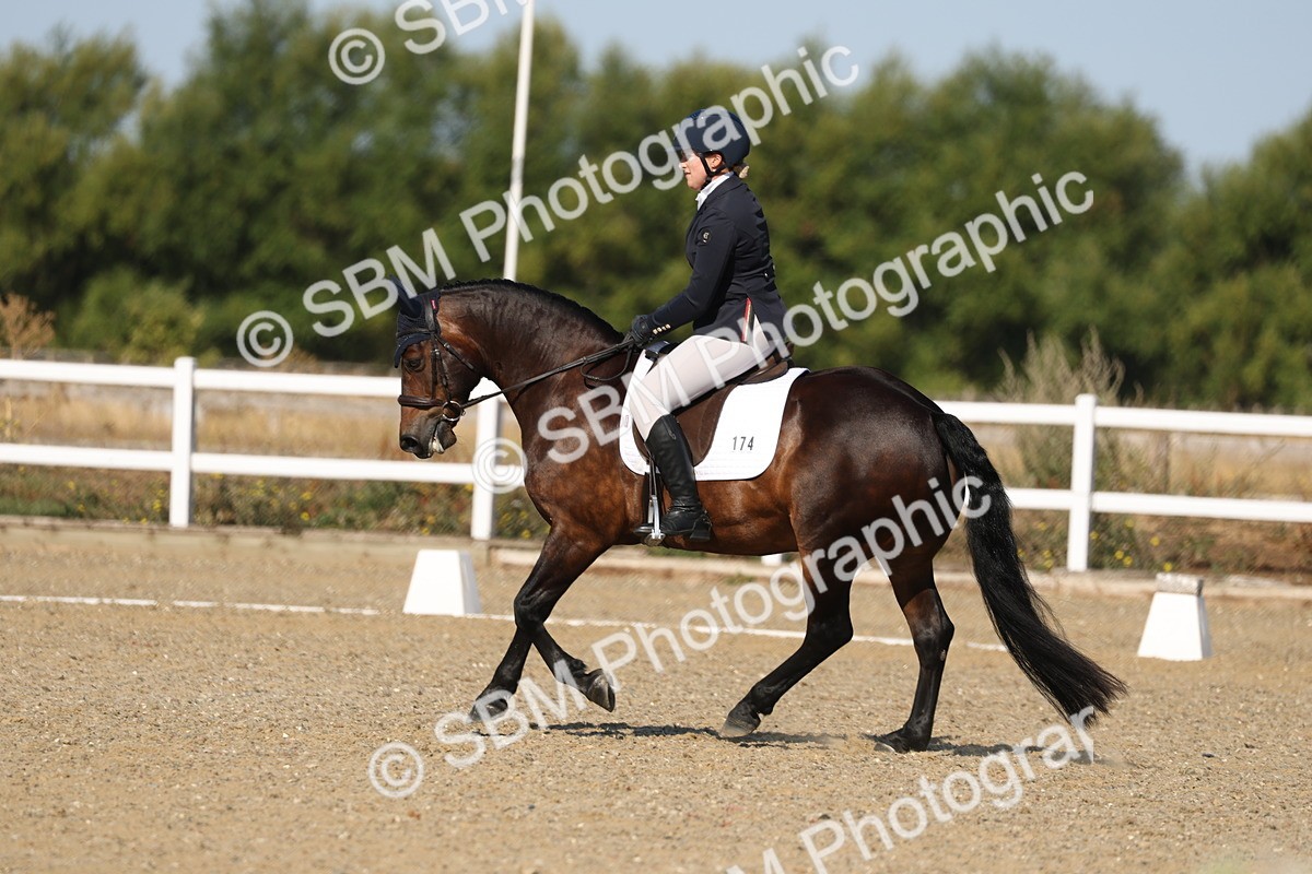 SBM_012753 - Class 1 - P5 Bronze 9.00.10.12