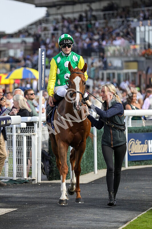 310824-Race 3-Frank The Spark-1359 - Race 3