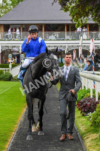 190523-Race 5-Mostabshir-0681 - Race 5 4.10pm Darley Novice Stakes