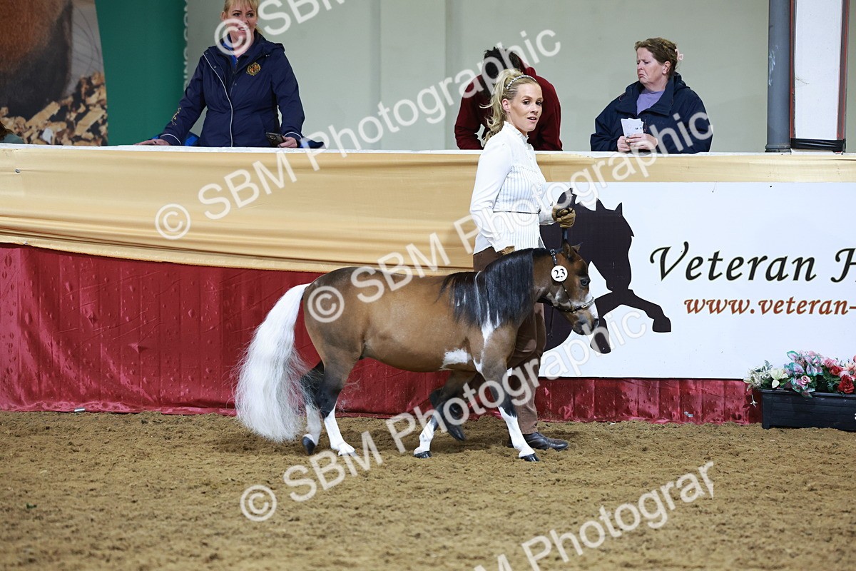 SBM_20417 - Class F - IH Small (148cm & Under)Champ