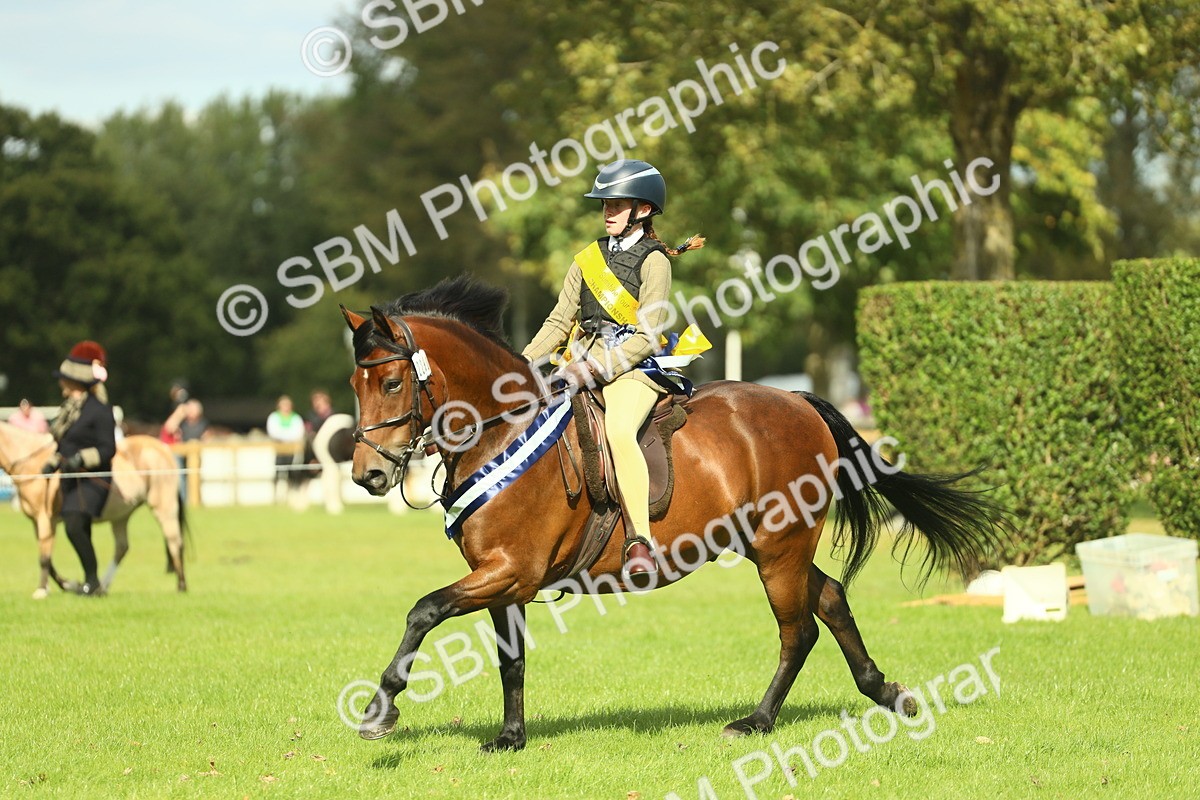 SBM_45034 - Working Hunter Pony Supreme Championship