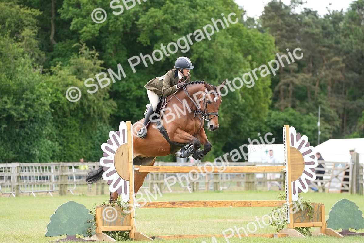 SBM_14965 - Class 100-102 - RIHS Working Hunter