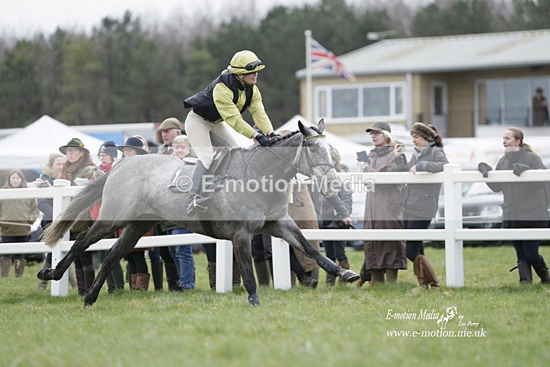 PtP 260323 0212 - New Forest Hounds Point-to-Point Larkhill 26/03/23