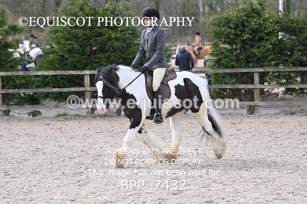 BPP_7432 - RING 1  (RIDDEN HORSES / IN HAND / VETERAN ETC)