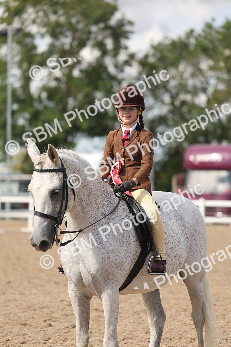 SBM_13204 - Class 306 - Ridden Foreign Breds - Part Bred