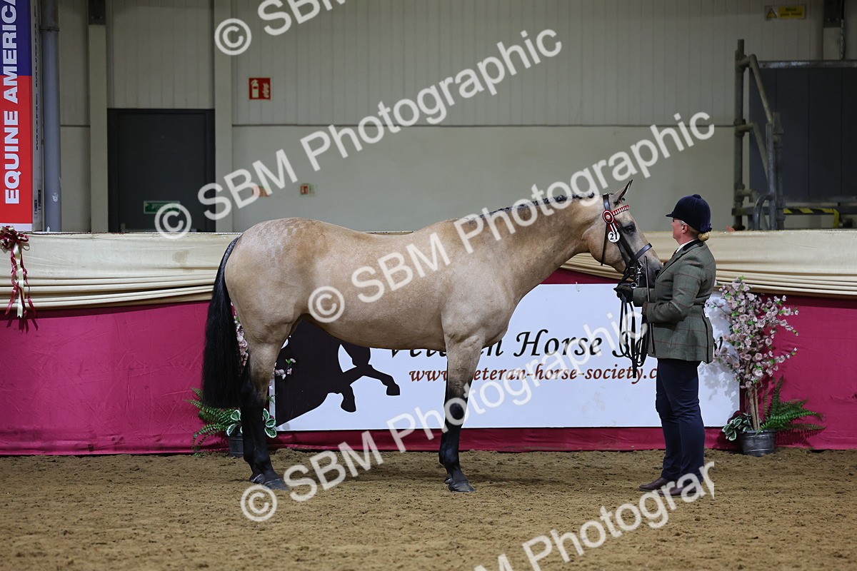SBM_20762 - Class 902 - Supreme Final IH Veteran