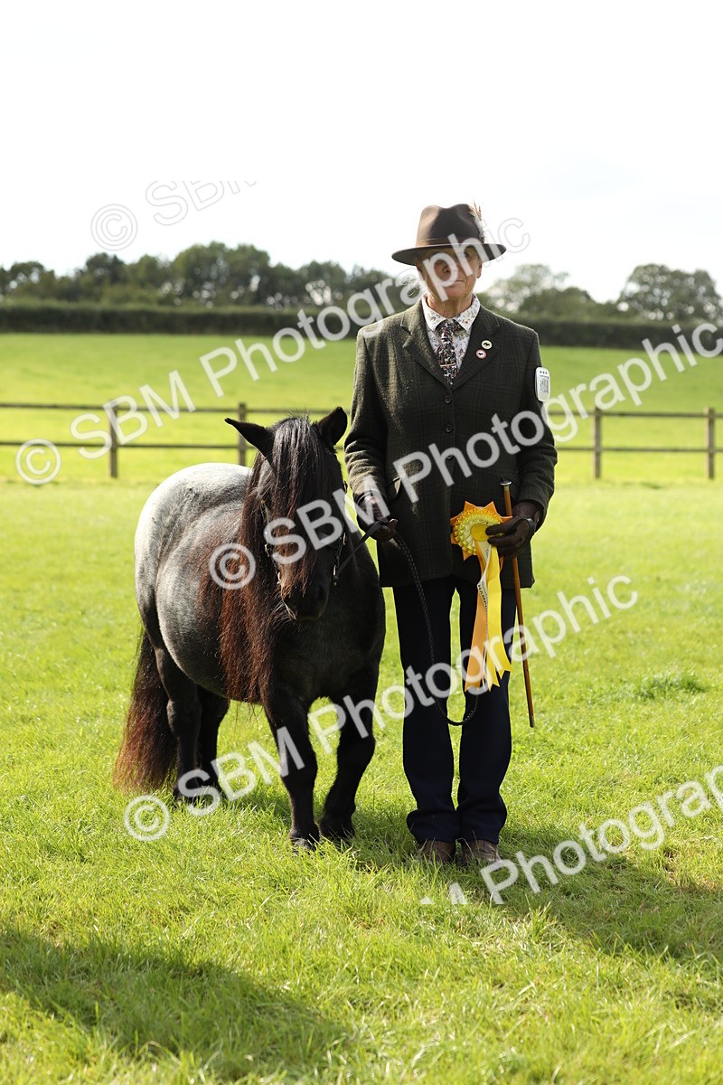 SBM_62861 - S46 - Mountain & Moorland In Hand Small Breeds