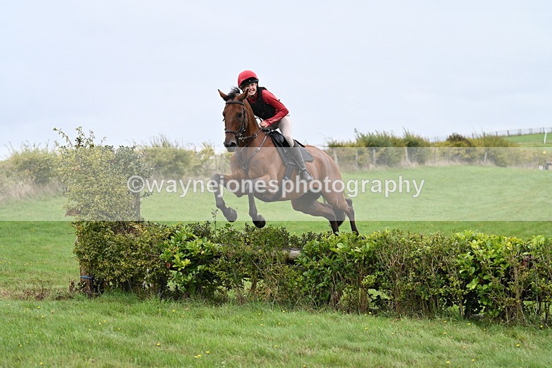 WJ7_9022 - Time 13:31 to 14:00