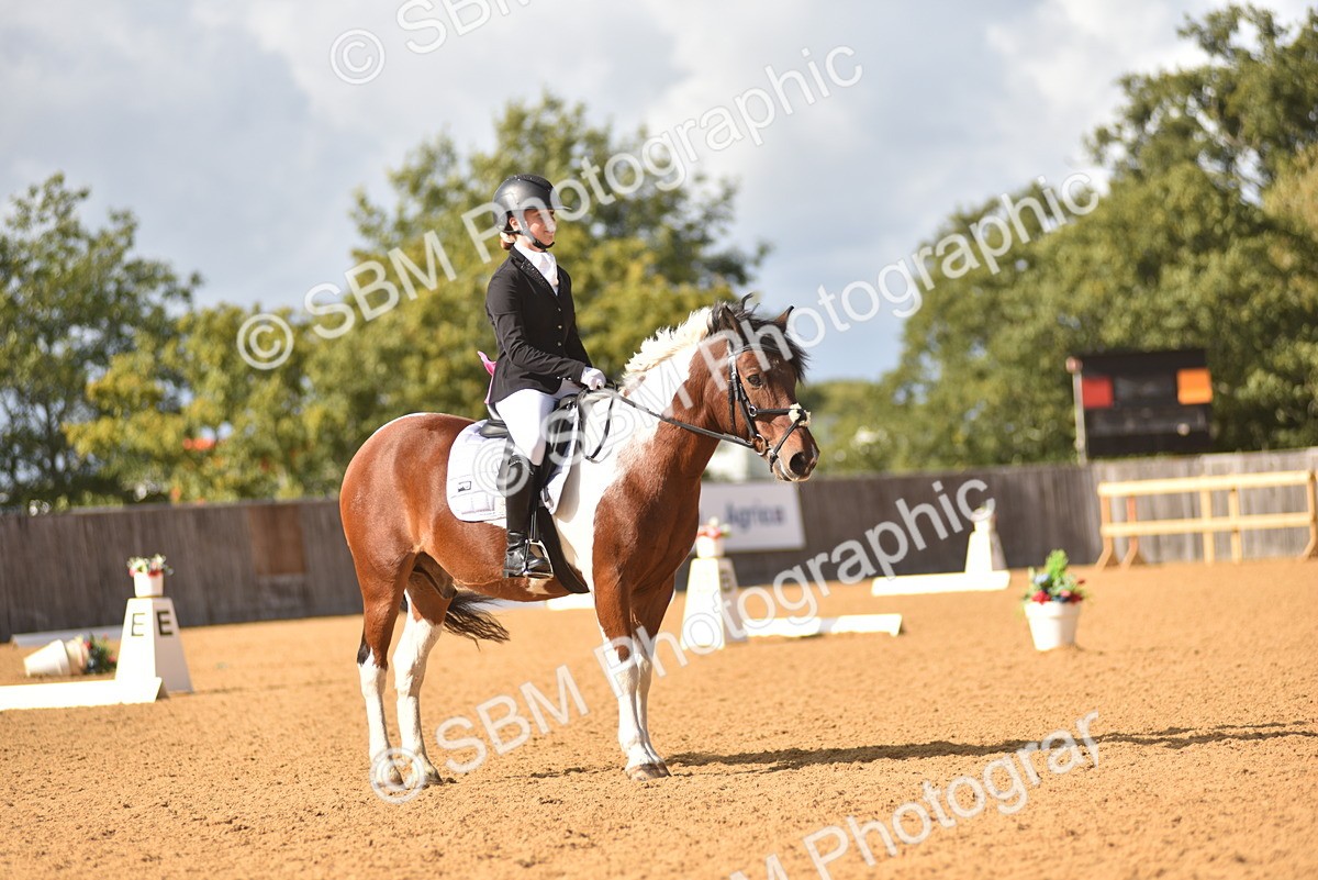 SBM_24264 - D4 - Small Tour Championship Intro 4