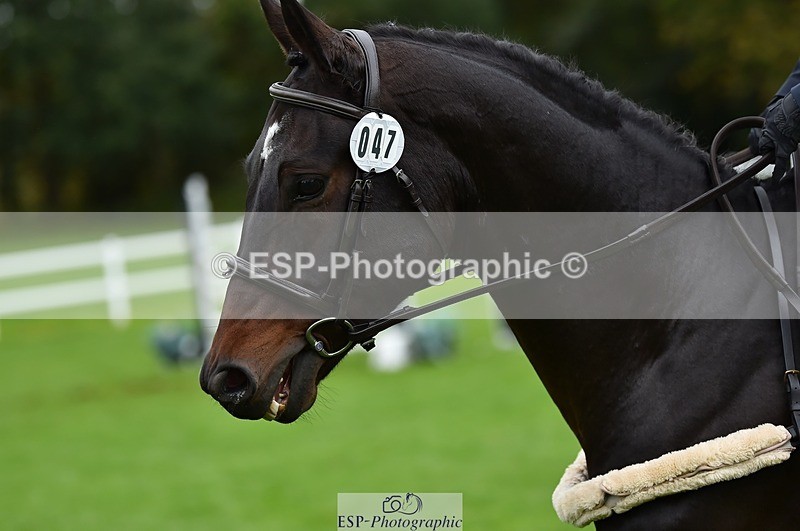 231021-121422-16458 - 047-FIREBALL.III-Oda.Christine.Lippestad-SJ