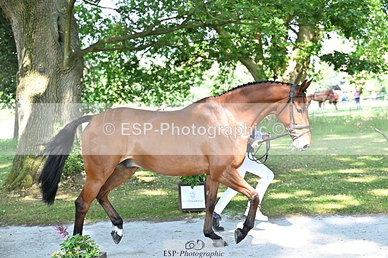 250521A-161943-01063 - C-267-Jeanette.Brakewell-PRIMIRO