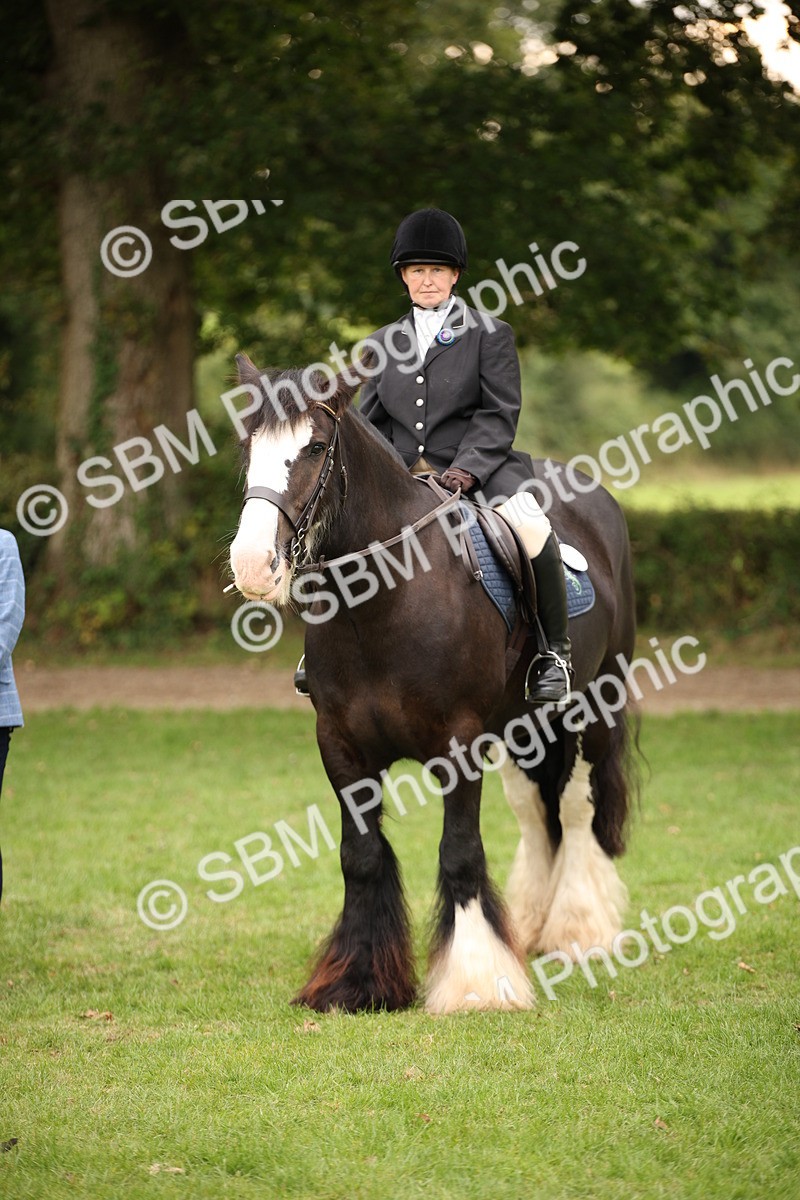 SBM_73559 - S68 - Traditional Cob Ridden