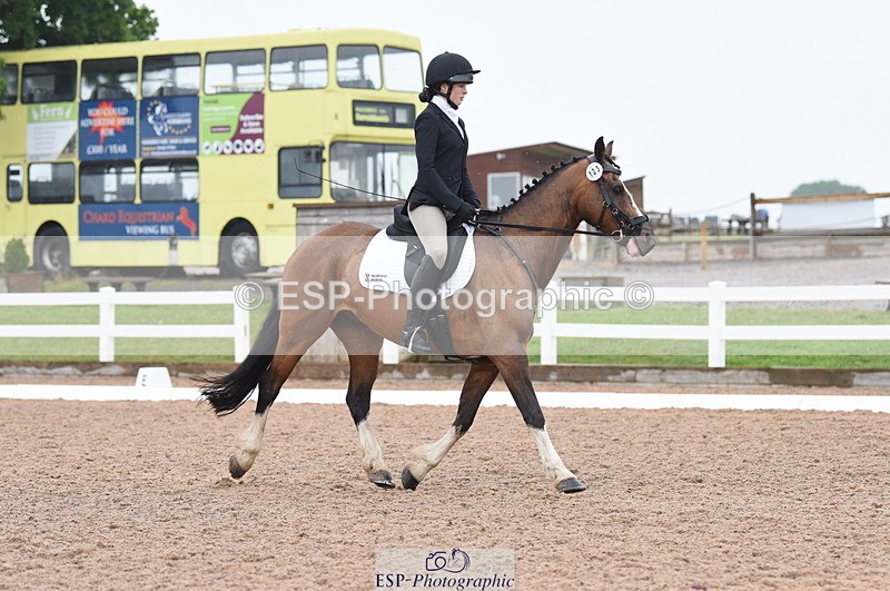 230708A-125534-01798 - Prelim 7