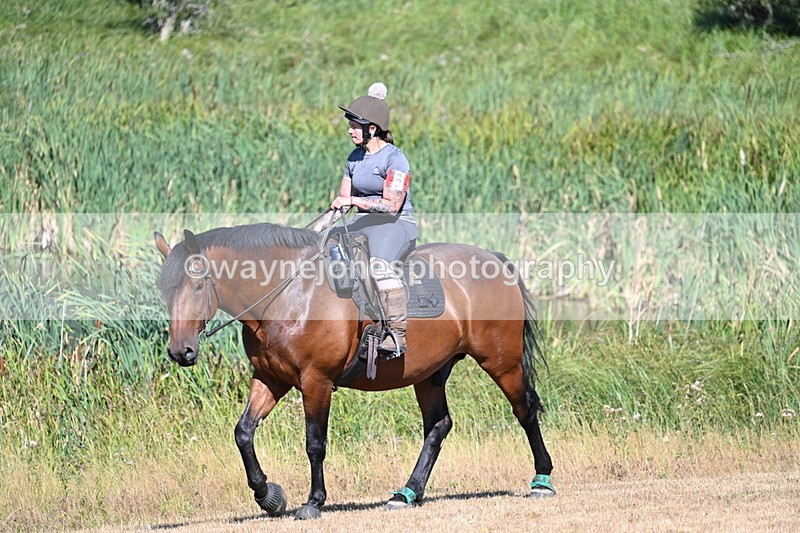 WJ7_7521 - Time 10:54 to 10:57