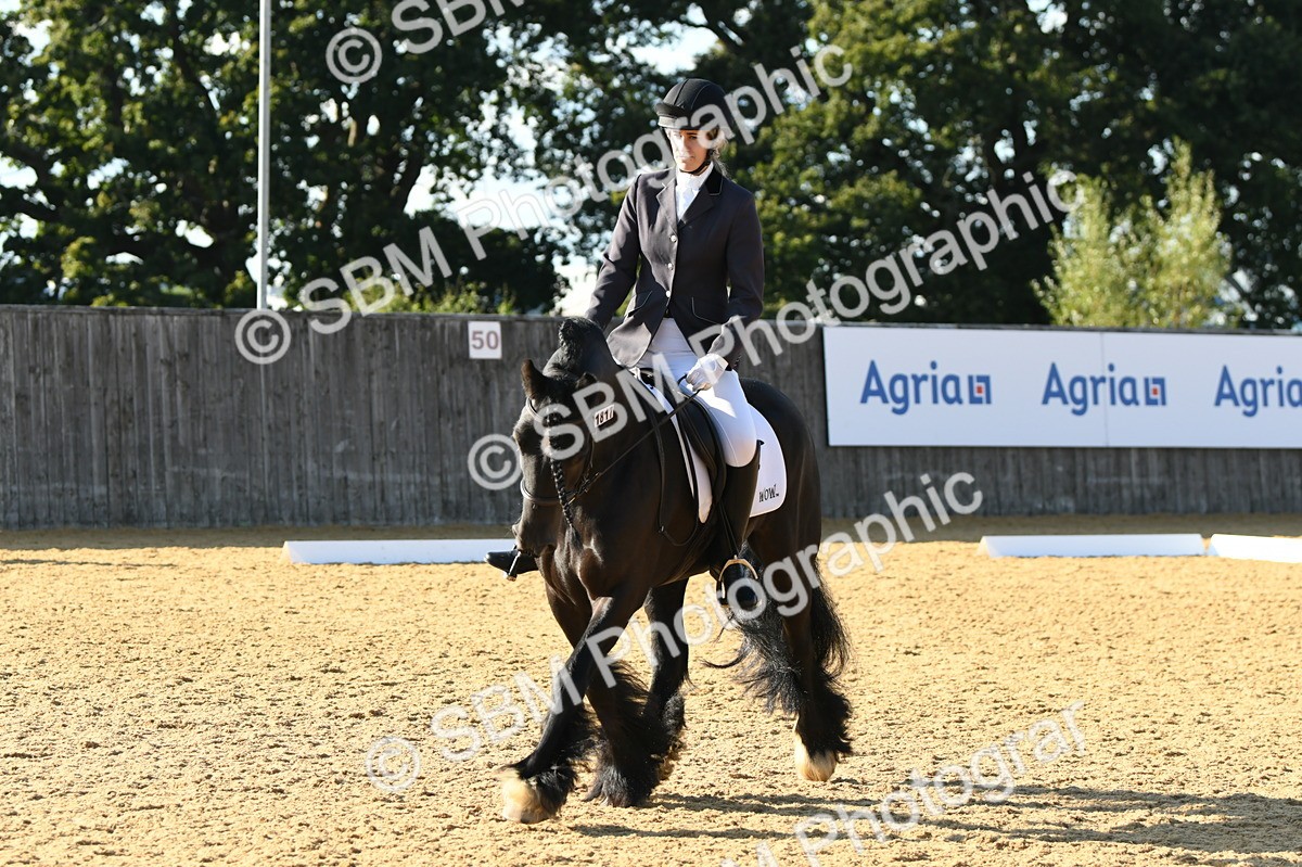 SBM_28448 - D16 - Small Tour Championship - Novice 28