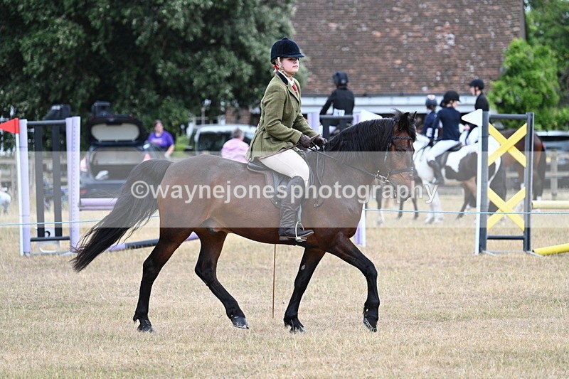 WJ7_0604 - Class 6 Ridden Mountain and Moorland