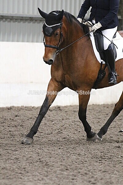 SIAL5279 - CAbin Dressage 5th july 2025