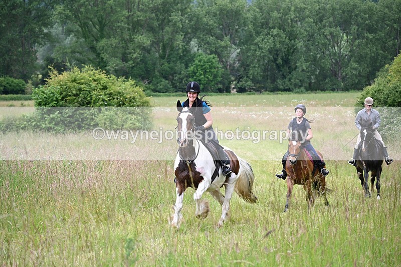 WJ6_8199 - Camera 1 Gallops