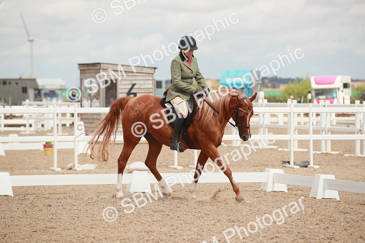 SBM_05992 - Class 32 - Novice 1