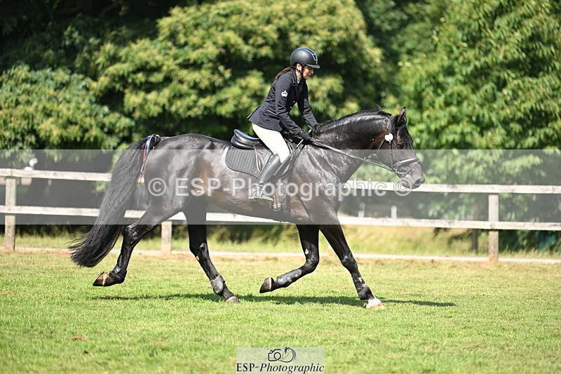 250704A-102837-06984 - Cls 25 Snr British Novice and 90cm