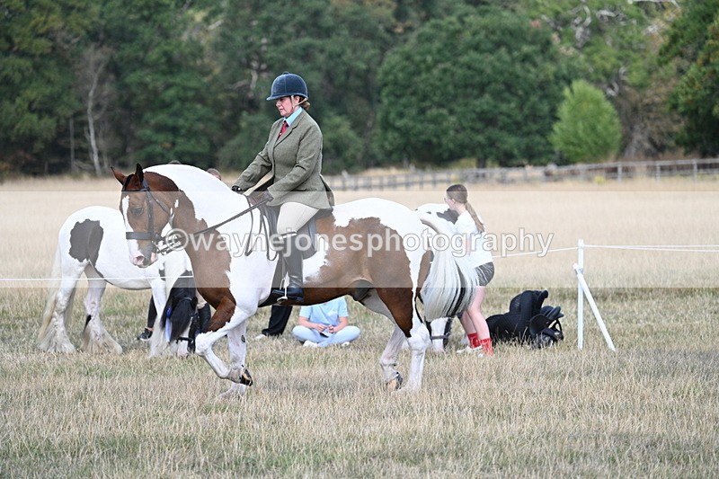 WJ7_7153 - Class 14 Ridden Coloured